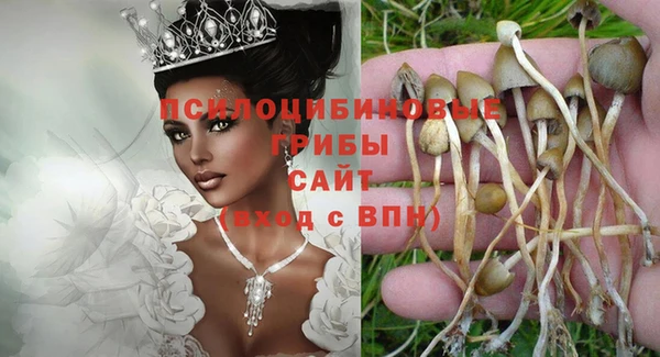 соль курить ск Алзамай